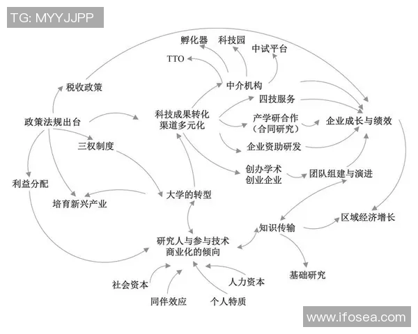 成都网球队实力分析与发展潜力探讨：数据驱动的深度解读与未来展望