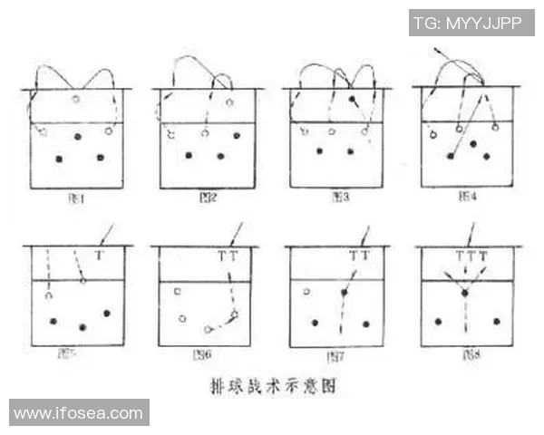 武汉排球队的转换体系与排球战术创新研究分析